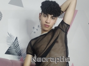 Neoraptis