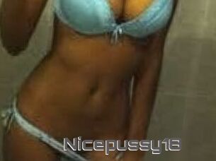 Nicepussy18