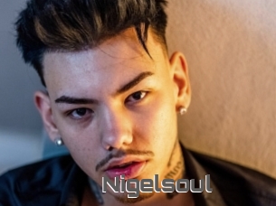 Nigelsoul