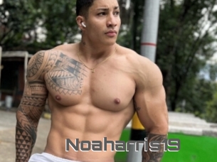 Noaharris19