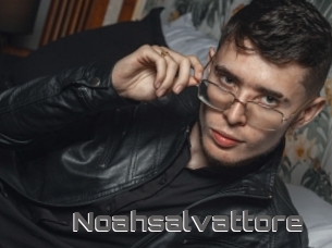 Noahsalvattore