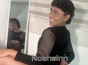 Noahsinn