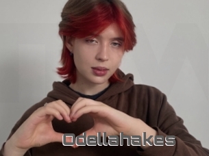Odellahakes