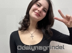Odelynagrindel