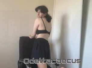 Odettacaecus