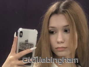 Ottiliebingham