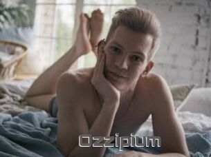 Ozzipium