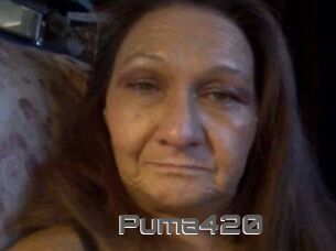 Puma420
