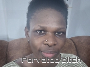 Pervated_bitch