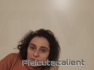 Pisicutacalient