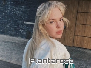 Plantarosa