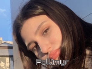 Pollimyr