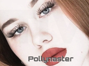 Pollynaster