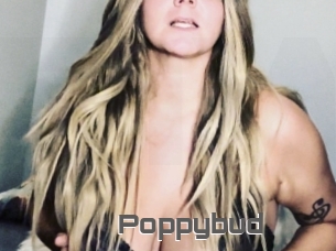 Poppybud