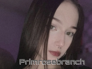 Primrosebranch