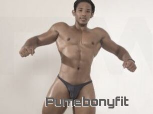 Pumebonyfit