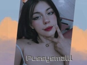 Pussysmalll
