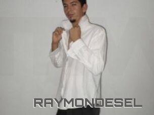RAYMONDESEL
