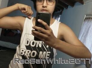 RedSanWhite2077