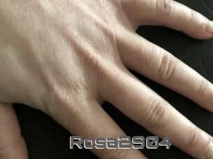 Rosa2904