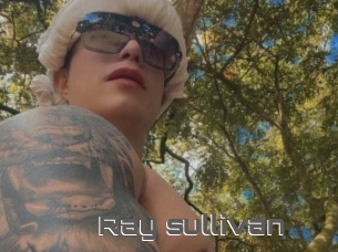Ray_sullivan