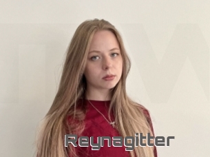 Reynagitter