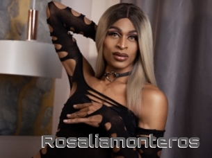 Rosaliamonteros