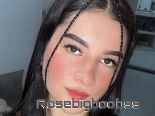 Rosebigboobss