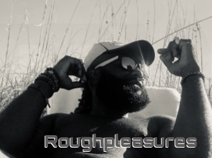 Roughpleasures