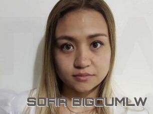 SOFIA_BIGCUMLW