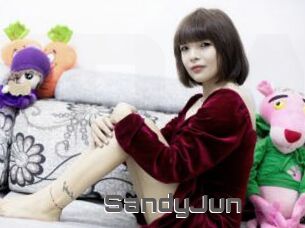 SandyJun