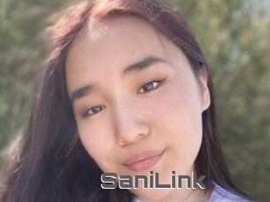 SaniLink