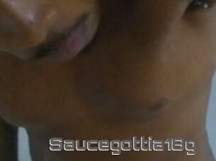 Saucegottia18g
