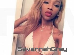 Savannah_Grey
