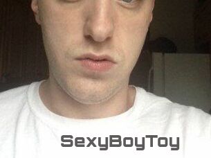 SexyBoyToy