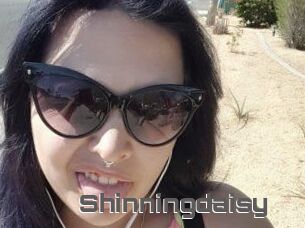 Shinningdaisy