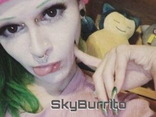 SkyBurrito