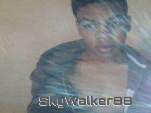 SkyWalker88