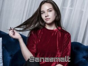 Sanasmalt