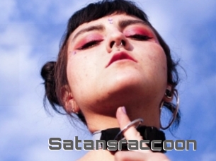 Satansraccoon