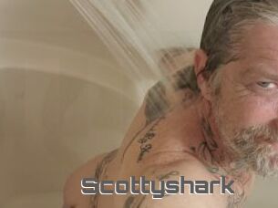 Scottyshark