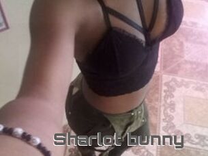 Sharlot_bunny