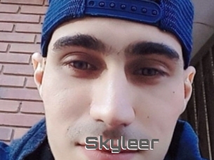 Skyleer
