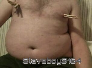 Slaveboy3164