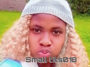 Small_tits018