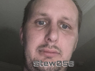 Stew058