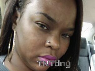 T_N_Ttiny