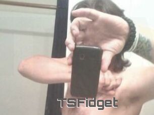 TSFidget