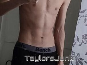 TaylorsJunk