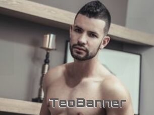 TeoBanner